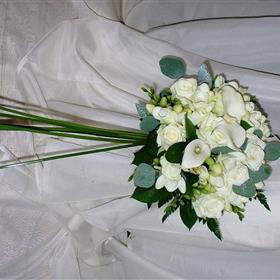 fwthumbCNV00004 (4) - Copy.jpg